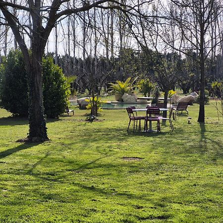 Le Mas Des Cerisiers Jacuzzi Et Sauna Inclus Pour Tous Les Logements Avinhão Exterior foto