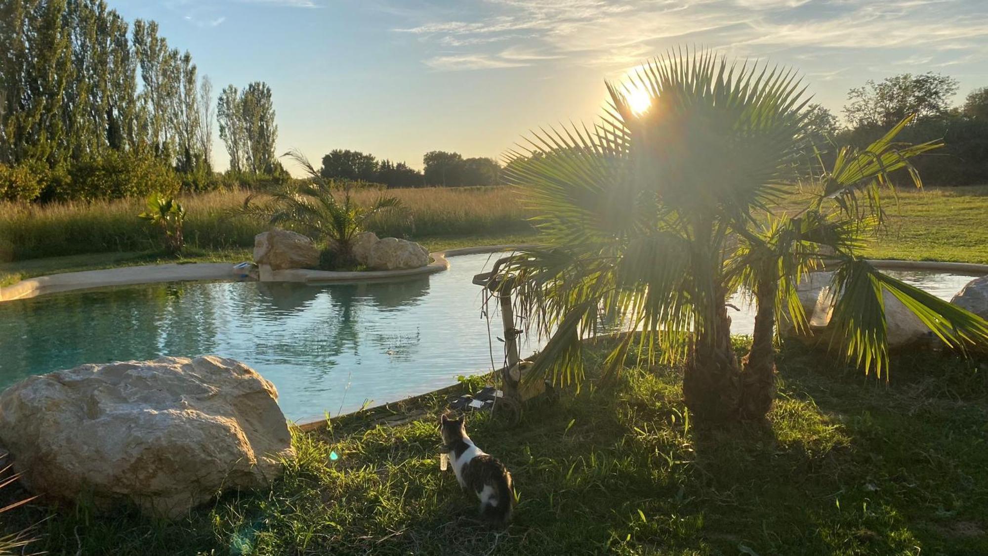 Le Mas Des Cerisiers Jacuzzi Et Sauna Inclus Pour Tous Les Logements Avinhão Exterior foto