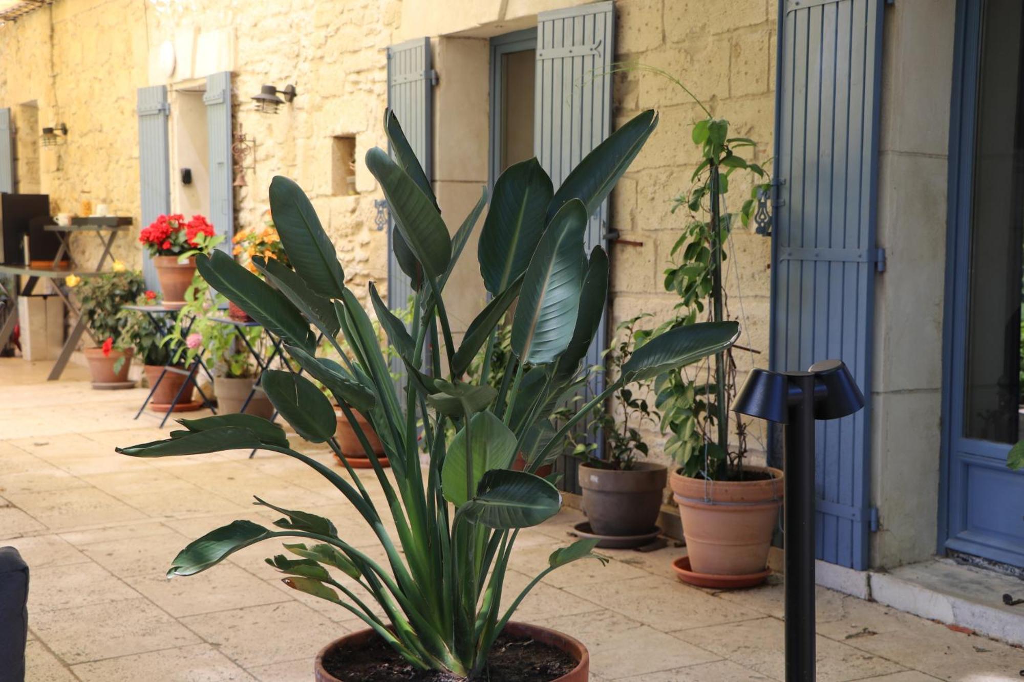 Le Mas Des Cerisiers Jacuzzi Et Sauna Inclus Pour Tous Les Logements Avinhão Exterior foto