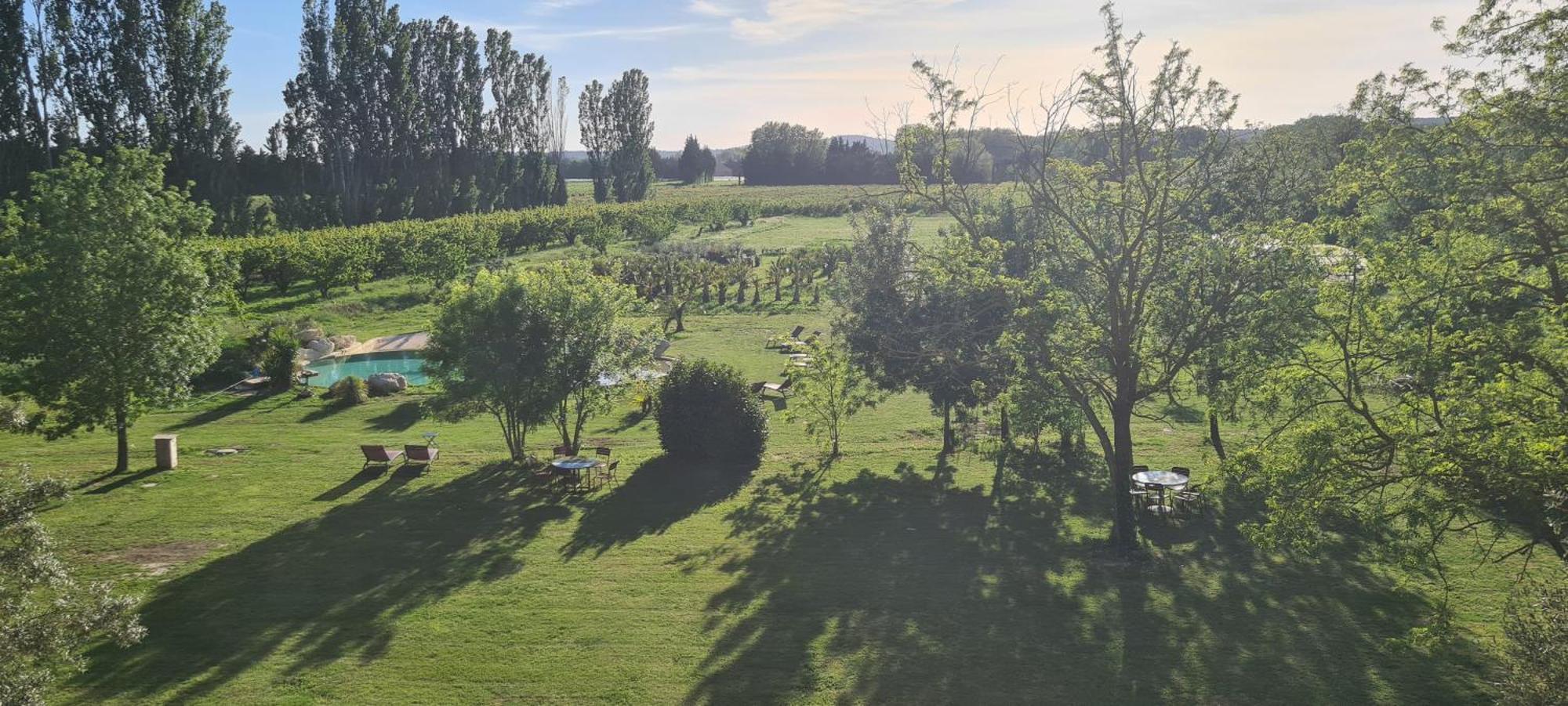 Le Mas Des Cerisiers Jacuzzi Et Sauna Inclus Pour Tous Les Logements Avinhão Exterior foto